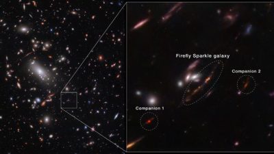 Discovery of Firefly Sparkle Galaxy by JWST