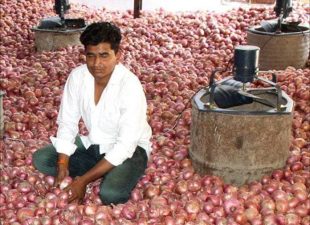 Expansion of Onion Storage Facilities in India