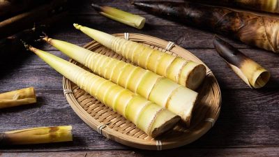 Fermented Bamboo Shoots and Anti-Obesity Effects