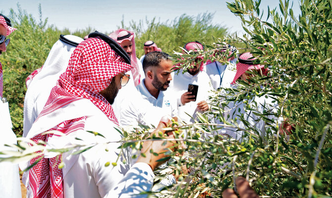 Food Security Crisis in the Arab Region