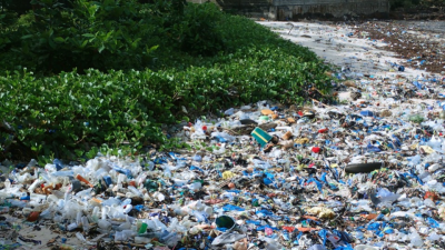 Global Talks on Plastic Pollution Treaty Fail
