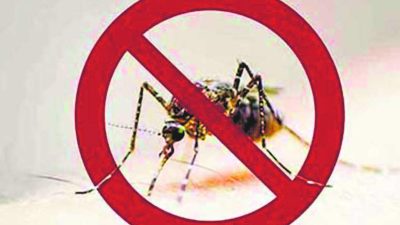 India’s Journey Towards Malaria Elimination