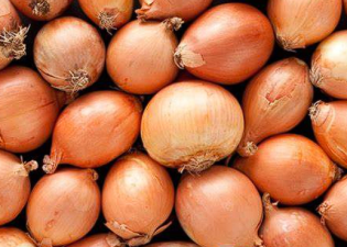 Maharashtra Onion Farmers Face Price Crash Crisis