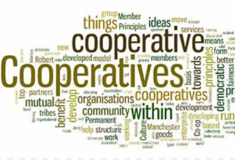 New Cooperative Societies Enhance Rural Economic Growth
