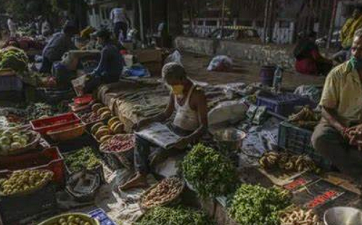 Operation Greens Scheme Faces Challenges in 2024