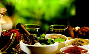 Promotion of International Cooperation for AYUSH Systems