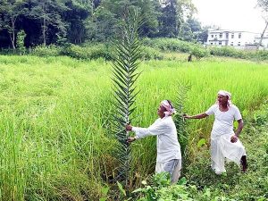 RBI Increases Collateral-Free Loan Limit for Farmers
