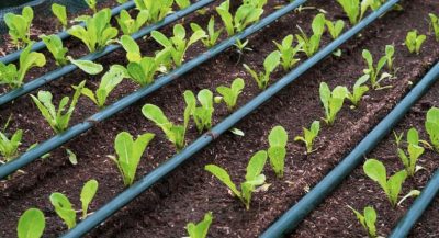 Remote Compost Monitoring Solution for Sustainable Agriculture