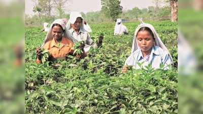 Rising Food Prices Impact Household Consumption in India