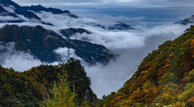 Shennongjia National Park – A Conservation Success Story