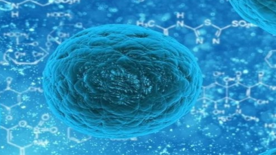 Surge in Norovirus Cases Across the United States