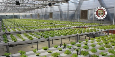 Tripura Embraces Hydroponic Farming Technology