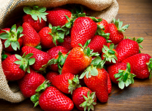 Tripura’s Innovative Strawberry Cultivation Techniques