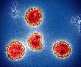 Viruses and Their Link to Neurodegenerative Diseases