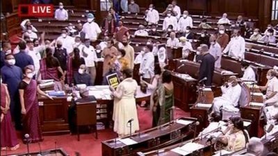 About the Role of Whips in Indian Politics