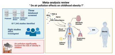 Air Pollution’s Impact on Childhood Obesity Risks