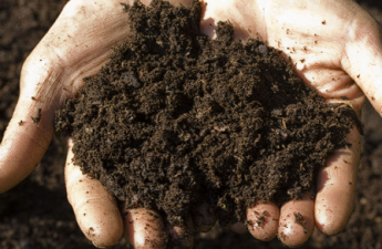 Bacteria Revolutionise Soil Contamination Solutions