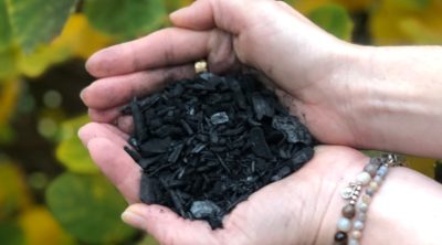 Biochar Use to Remediate DDT-Contaminated Soil