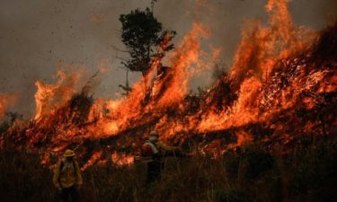 Brazil’s Wildfires