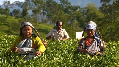 Assam Government Withdraws Cases Against Koch Rajbongshi Community