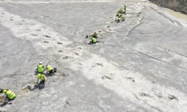Dinosaur Footprints Discovered in Oxfordshire Quarry