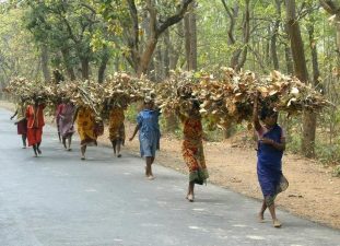 Forest Rights Act and Recent Eviction Concerns