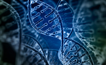 India Establishes New Gene Bank for Biodiversity Conservation