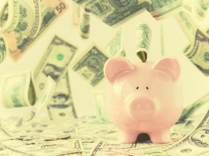 Government Plans Special Fund for Microfinance Growth
