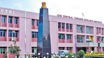 ICAR Renames Central Tobacco Research Institute to NIRCA