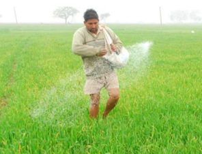 India Extends Subsidy for Diammonium Phosphate Fertiliser