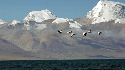 India and China Resume Bilateral Agreements in 2025