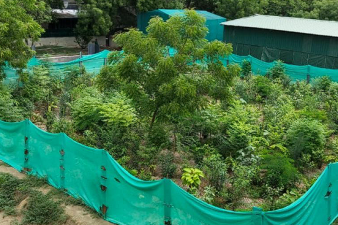 Miyawaki Technique Transforms Prayagraj’s Urban Environment