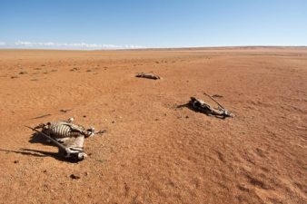Multi-Year Droughts (MYDs)