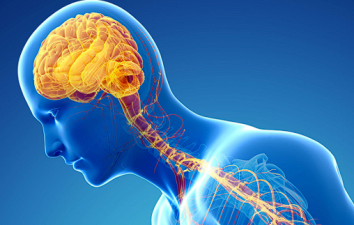 Nano-Formulated Melatonin – A Hope for Parkinson’s Disease