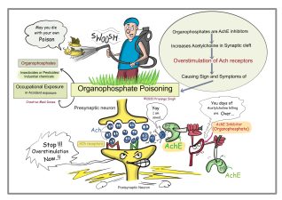 Organophosphate Toxicity