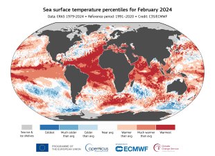 Record Ocean Temperatures and Climate Impact in 2024