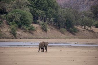 Reducing Human-Elephant Conflict in Namibia’s Highlands