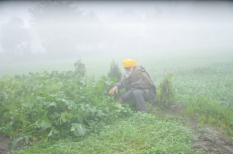 Reviving District Agrometeorological Units for Farmers’ Support