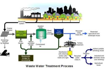 Safe Disposal and Reuse of Sewage Sludge in India