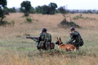 Tackling Drug Trafficking and National Security in India