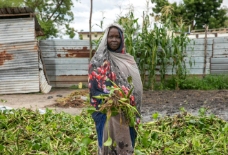Water Hyacinth Crisis and Innovative Solutions in Kenya