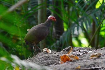 Addressing Biodiversity Loss Beyond Protected Areas