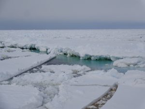 Antarctic Expedition in Ross Sea