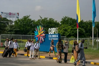 Biodiversity Funding and Policy at COP16 in Rome