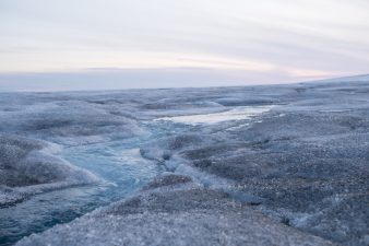 Dark-Pigmented Microalgae Accelerate Greenland Ice Melt
