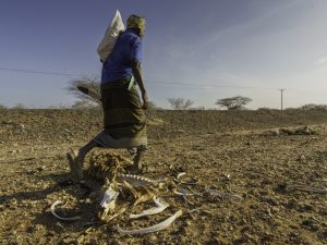 Fertiliser Risks and Major Food Giants’ Disclosure Failures
