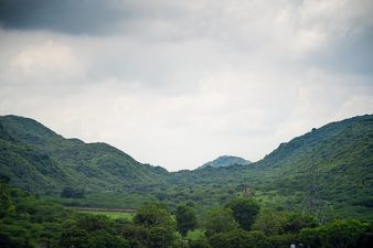 Former Forest Officers Oppose Aravalli Zoo Safari Project