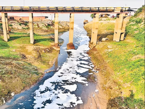 Ganga River Water Quality Report 2025