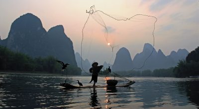 Global Conservation Funding