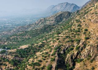 Haryana’s Aravali Safari Park Project Faces Opposition